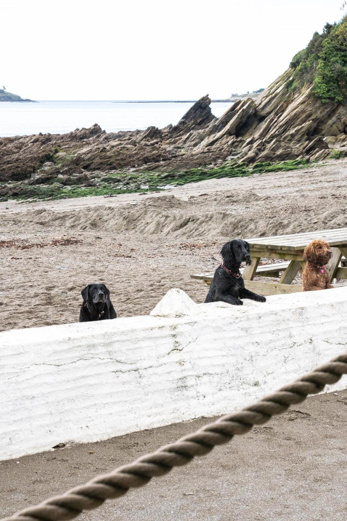 Pet Friendly Sea View Villa Millendreath Looe Quarto foto