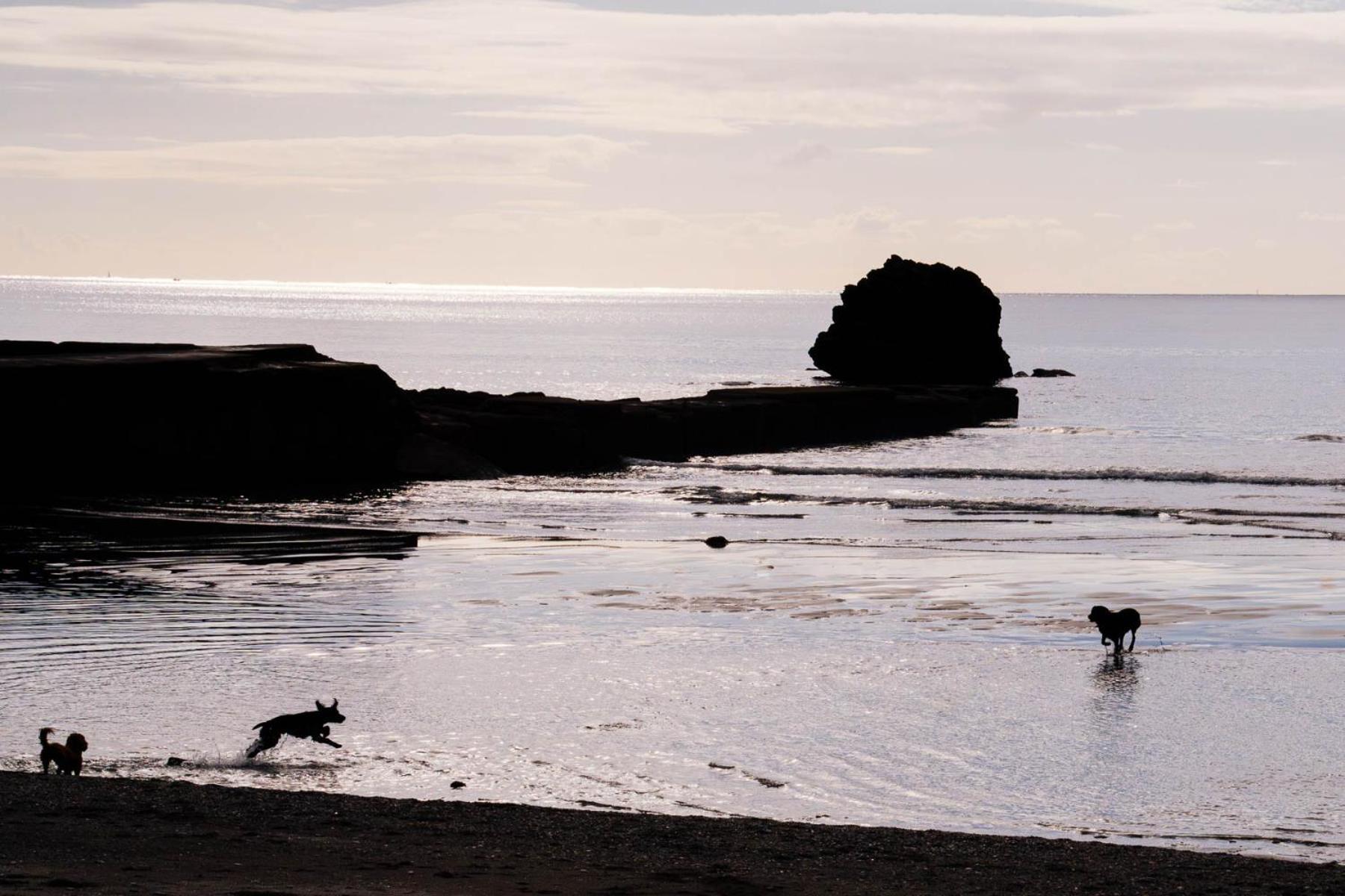 Pet Friendly Sea View Villa Millendreath Looe Exterior foto
